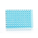Azenta Life Sciences 32 Well PCR Plate Segment Non-Skirted Blue H12 Cut Corner