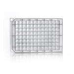 Azenta Life Sciences 96 Well Polypropylene Storage Plates 2mL Deep-Wells Square Wells V-Shaped Well