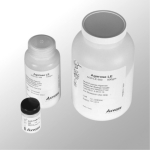 Agarose MS PCR Screening Molecular Biology Grade - 100g