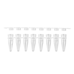 Axygen 0.2mL Thin Walled 8-Tube PCR Tube Strips with Flat Strip Caps Clear
