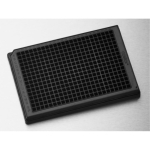 Corning 384 Well Black Round Bottom Polypropylene Not Treated Microplate 25/bag w/out Lid Nonsterile