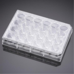 BioCoat Fibronectin 24 Well Clear Flat Bottom TC-Treated Multiwell Plate, with Lid, Nonsterile