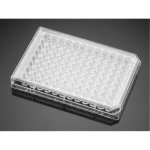 BioCoat Collagen I 48 Well Clear Flat Bottom TC-Treated Multiwell Plate, with Lid, Nonsterile