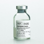 Corning Matrigel Basement Membrane Matrix; High  Concentration (HC); Phenol Red-Free; LDEV-Free;  10