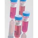 Hepatocyte Culture Media Kit 500 mL