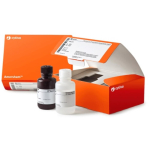 Amersham ECL Select Western Blotting Detection  Reagent