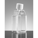 Falcon 25cm2 Canted Neck Not Treated Cell Culture Flask with Plug Seal Screw Cap 70mL