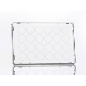 Azenta Life Sciences 24 Well Assay Plate Lid With Condensation Rings Sterile