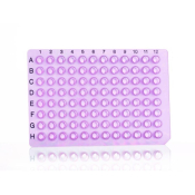 Azenta Life Sciences 24 Well PCR Plate Segment Non-Skirted Purple H12 Cut Corner