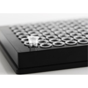 Arzenta Life Sciences 96 Well Individual Tube PCR Plate Skirted Low Profile Flat Bottom Rigid Black
