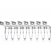 Azenta Life Sciences 0.2mL 8-Well PCR Tube Strips with Attached Flat Strip Caps Clear