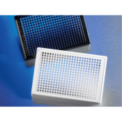 Corning 384-Well Black/Clear Flat Bottom Polystyrene NBS Microplate Low Flange Without Lid Nonsteril
