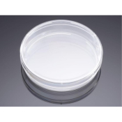 PureCoat Carboxyl 100mm Dish