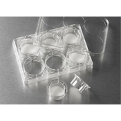 24mm Transwell with 8.0um Pore Polycarbonate Membrane Insert Sterile