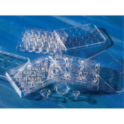 6.5mm Transwell with 0.4um Pore Polyester Membrane Insert Sterile