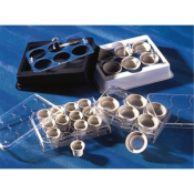 24mm Netwell Insert with 500 um Mesh Size Polyester Membrane Sterile