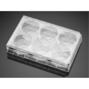 Corning PureCoat ECM Mimetic Fibronectin Peptide 6 Well Plate, Sterile, Individually Wrapped, Cell