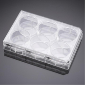 Corning PureCoat Fibronectin Peptide 24 Well  Clear Plate with Lid, Individually Wrapped,  Sterile,