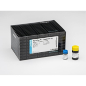 Lonza MycoZap Mycoplasma Elimination Reagent 5  Treatments