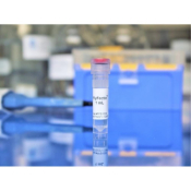 Oz Biosciences FlyFectin 500uL