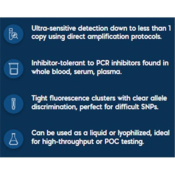 PSF-CMV-CMV-SBFI - DUAL CMV EXPRESSION PLASMID; plasmid vector for molecular cloning