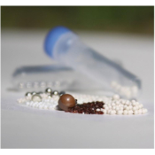 Prefilled 2.0ml tubes Stainless Steel 2.8mm Acid Washed