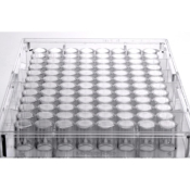 SLS Select Microplate 96 F Well PS Sterile