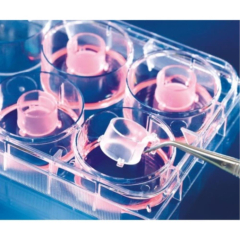 BRAND 12-well Insert 2in1 PET-membrane