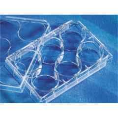 Corning CellBIND Well Multiwell Plates Clear Flat Bottom with Lid Sterile