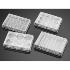 Falcon 24 Well Clear Flat Bottom TC-Treated Cell Culture Plate with Lid Sterile