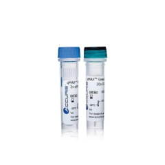 Accuris qMAX Green One-Step RT-qPCR Kit Low Rox