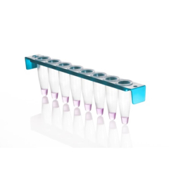 Azenta Life Sciences 0.2mL 8-Well PCR Tube Strips with PC Frame with Domed Strip Caps