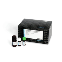 Mycoplasma Testing