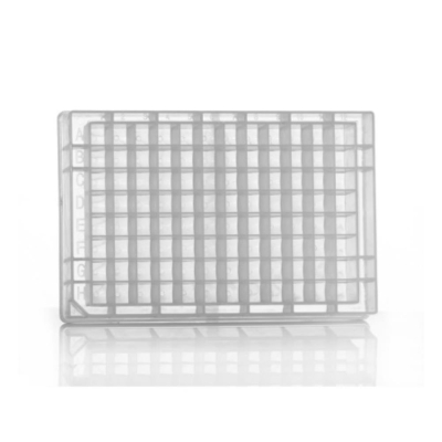 Azenta Life Sciences 96 Well Polypropylene Storage Plates 1.2mL Deep-Wells Square Wells U-Shaped Wel