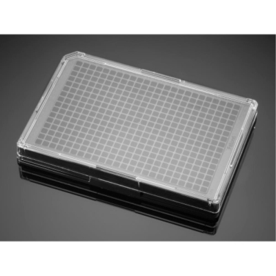 Corning BioCoat Poly-D-Lysine 384-Well TC-Treated Microplate, Black/Clear, Flat Bottom, with Lid,  N
