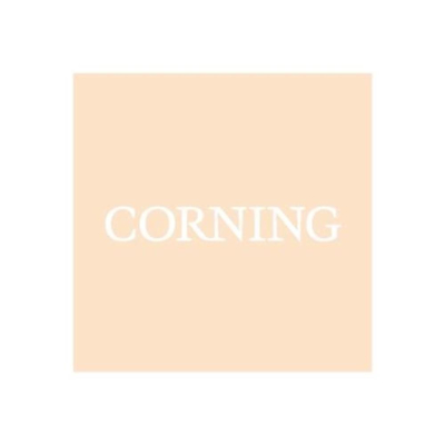 Corning CellSTACK Filling Accessory 33mm barbed cap Female Luer and Male Luer Lock Plug Sterile