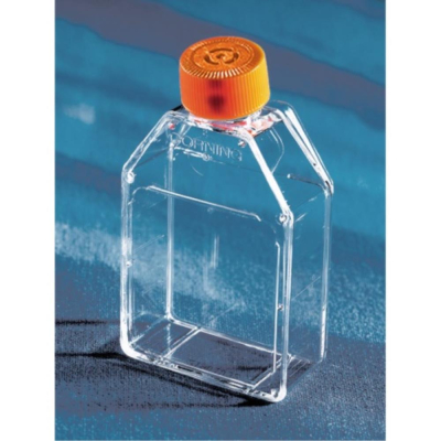 Corning 25cm2 cell culture flask TC-treated rectangular canted neck with vent cap 20 per inner pack