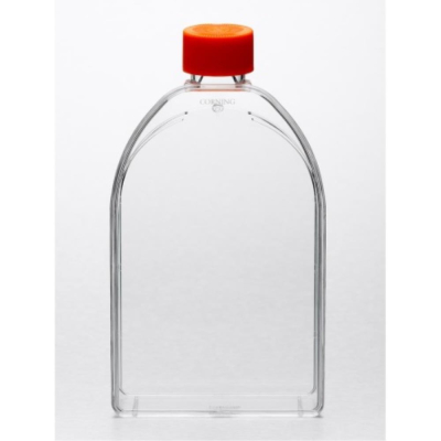 Corning 150cm2 U-Shaped Canted Neck Non Treated  Cell Culture Flask with Vent Cap