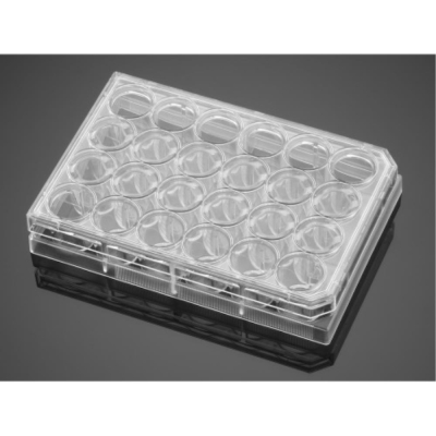 BioCoat Control Inserts with 8.0 um PET Membrane in Two 24 Well Plates