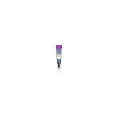 Amersham Cy7 mono NHS ester 1mg