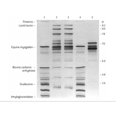 Lonza IsoGel Agarose 25g