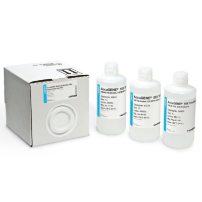 Lonza AccuGENE 1X PBS - 1L