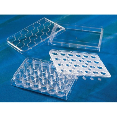 HTS Transwell-24 Well Permeable Support