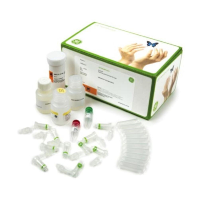 illustra Bacteria genomicPrep Mini Spin Kit